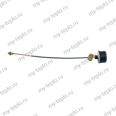 Манометр для котлов Baxi, аналог 7732049 (CPG28-B-1)